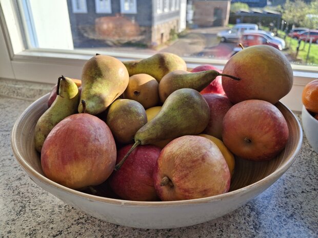 Eine Schale voll Obst