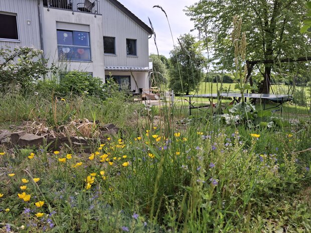 Gartenanlage von Noh Bieneen