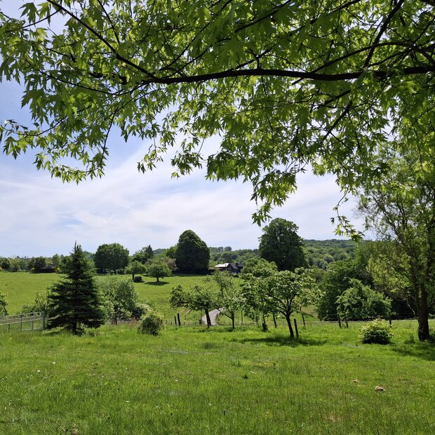 Blick in die sommerliche Natur um Thier