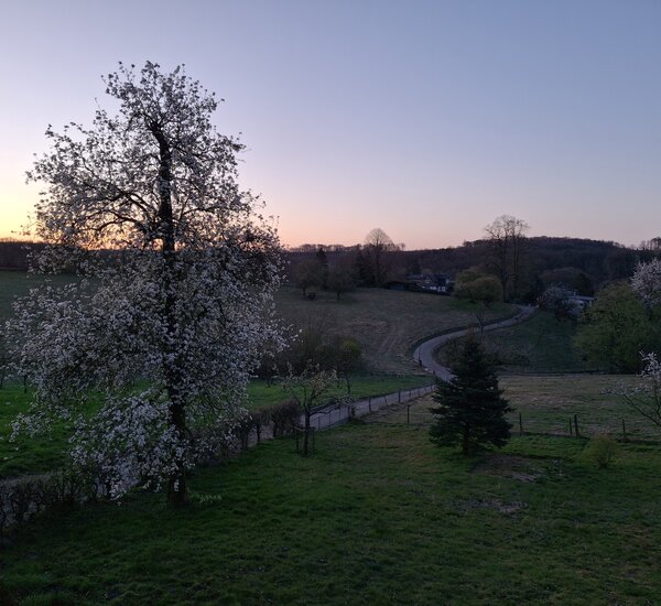 Blick in die frühlingshafte Natur um Thier bei Sonnenaufgang